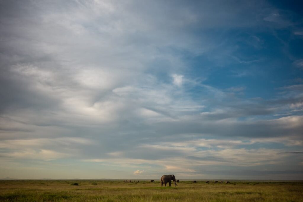 East Africa Self-Drive Safari